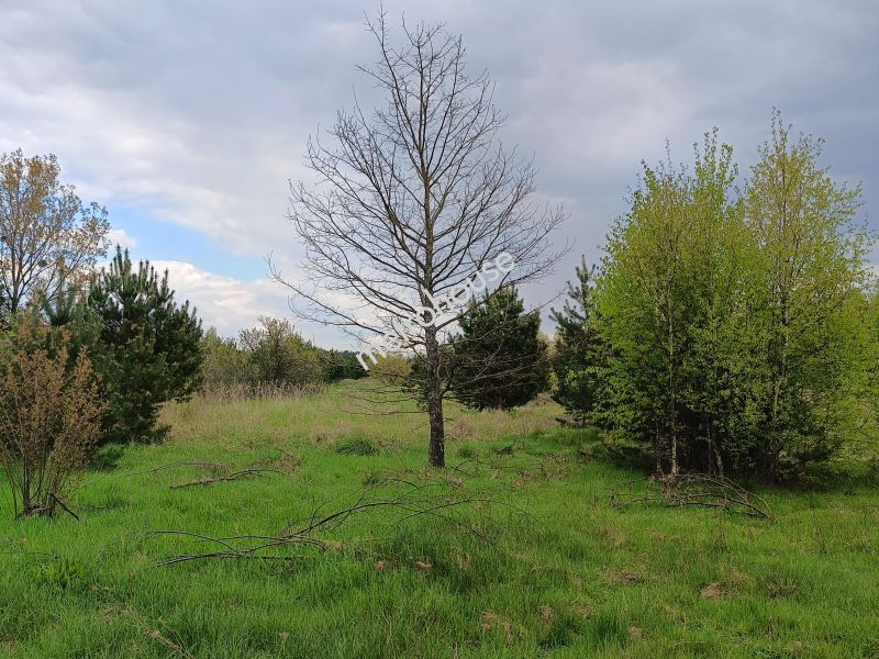 Działka na sprzedaż, Chojnicki, Będźmierowice