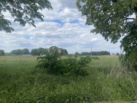 Sprzedaż Działka Nieborów, pow. łowicki