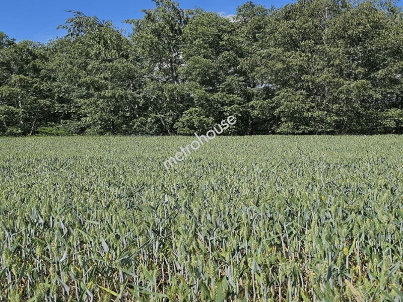 Działka na sprzedaż, Piaseczyński, Lesznowola, Władysławów