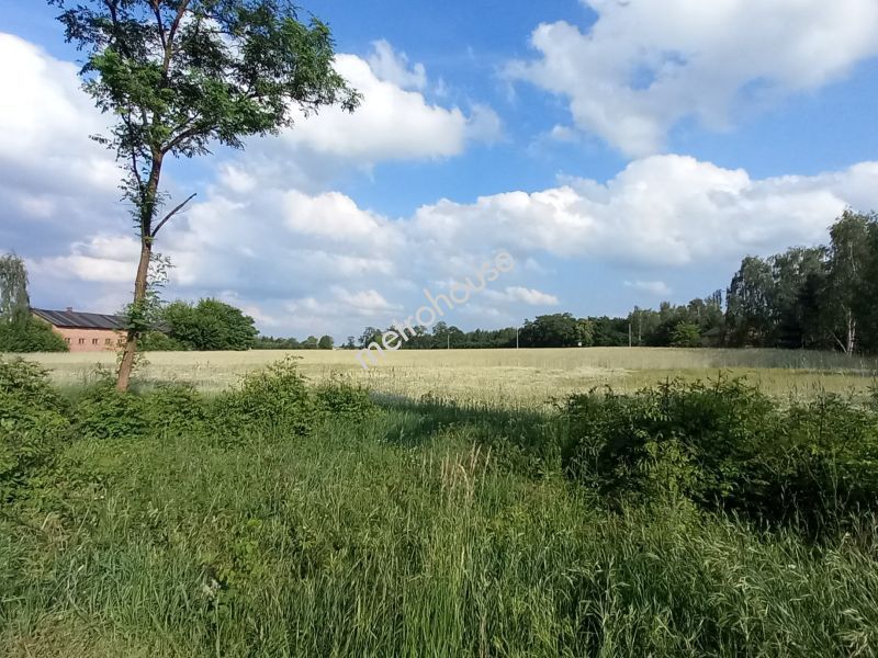 Działka na sprzedaż, Zduńskowolski, Lichawa, Kolonia Lichawa