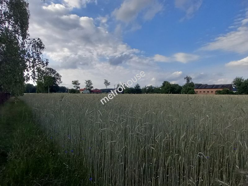 Działka na sprzedaż, Zduńskowolski, Lichawa, Kolonia Lichawa