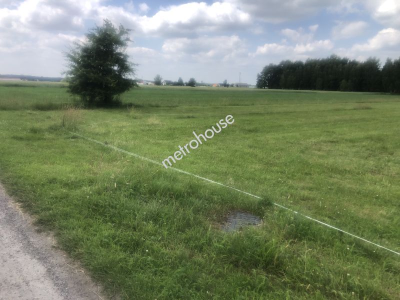 Działka na sprzedaż, Piotrkowski, Kaleń