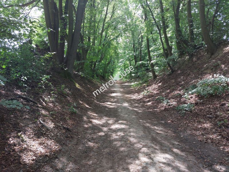 Działka na sprzedaż, Trzebnicki, Borkowice