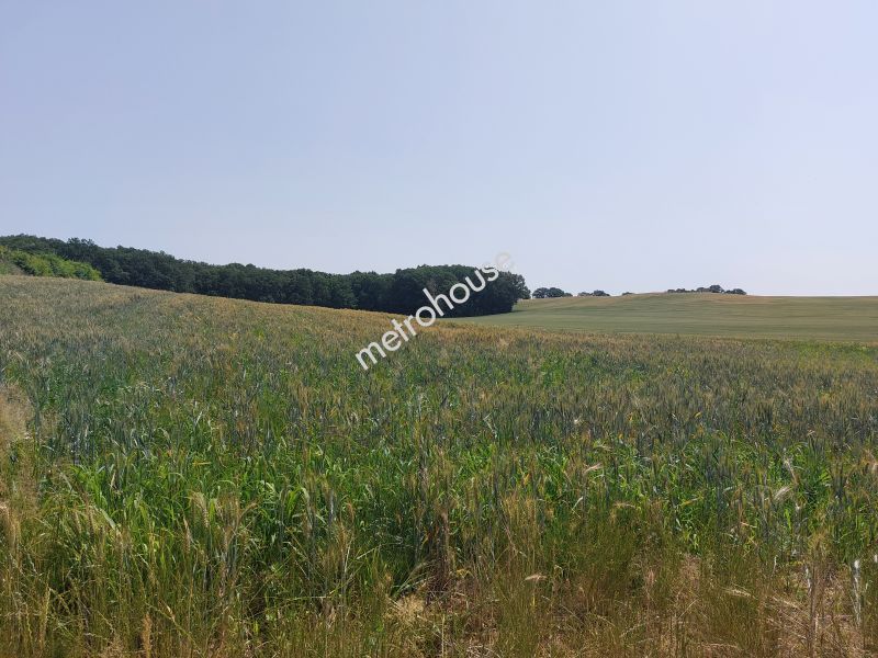 Działka na sprzedaż, Trzebnicki, Borkowice