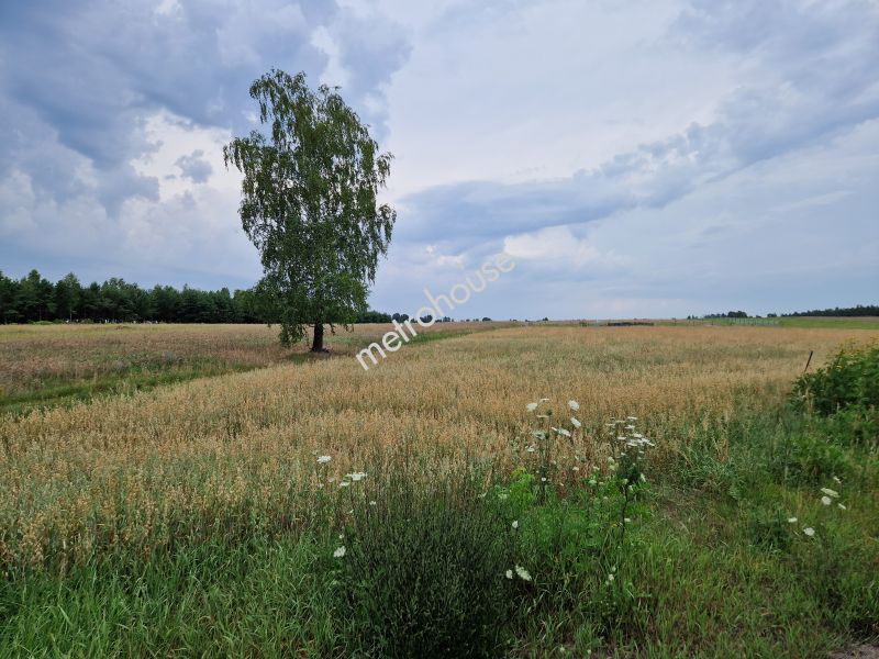 Działka na sprzedaż, Bialski, Porosiuki