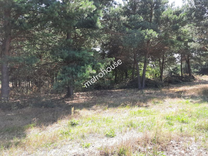 Działka na sprzedaż, żyrardowski, Adamów-Wieś, Granica