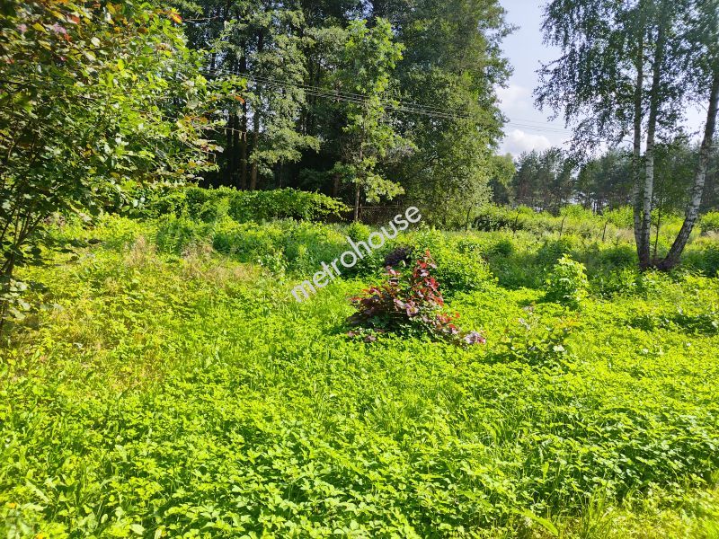 Działka na sprzedaż, Kielecki, Kranów