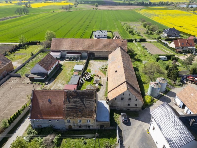 Gospodarstwo rolne na sprzedaż, Legnicki, Grzybiany, Spokojna