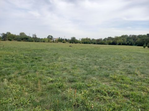 Sprzedaż Działka Sobota, pow. łowicki