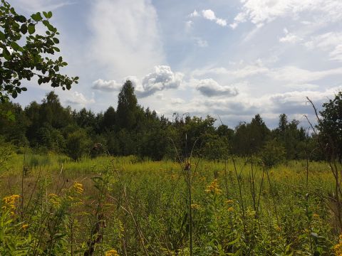 Sprzedaż Działka Cisie, pow. miński