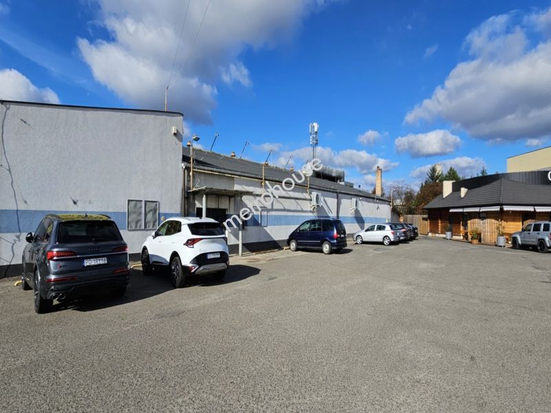 Lokal na wynajem, Krosno