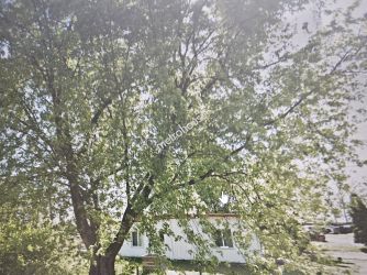 Lokal na sprzedaż, Garwoliński, Korytnica