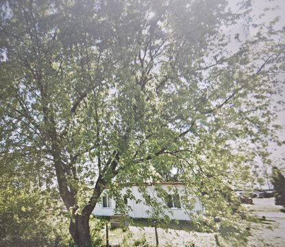 Sprzedaż Lokal handlowo-usługowy Korytnica, pow. garwoliński