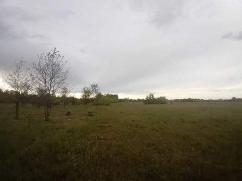 Sprzedaż Działka Szkolna, Sowia Wola, pow. nowodworski