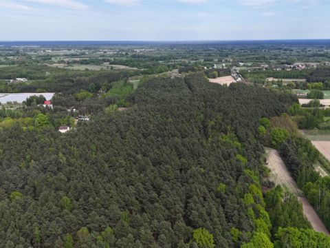 Sprzedaż Działka Wilczkowice, pow. kozienicki
