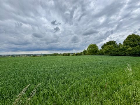 Sprzedaż Działka Jana III Sobieskiego, Czernica, pow. rybnicki