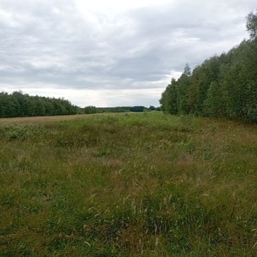 Sprzedaż Działka Helenów, pow. wołomiński