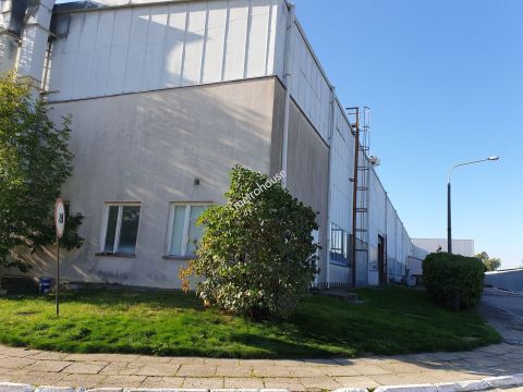 Wynajem Przemysłowe Lelowska, Szczekociny, pow. zawierciański