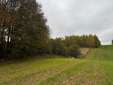 Sprzedaż Działka Rozdoły, pow. zamojski