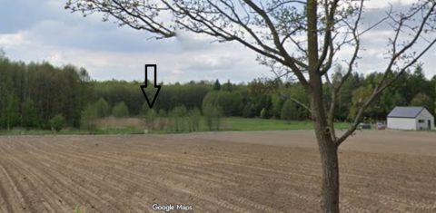 Sprzedaż Działka Kolonia Strzelce, pow. oleśnicki