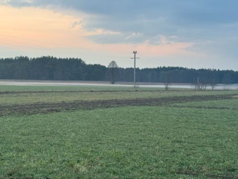 Sprzedaż Działka Kiciny, pow. wyszkowski