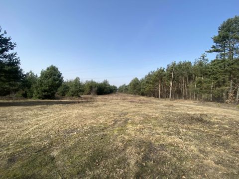 Sprzedaż Działka Rawa Mazowiecka
