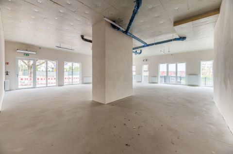Wynajem Lokal handlowo-usługowy Bałuty, Łódź