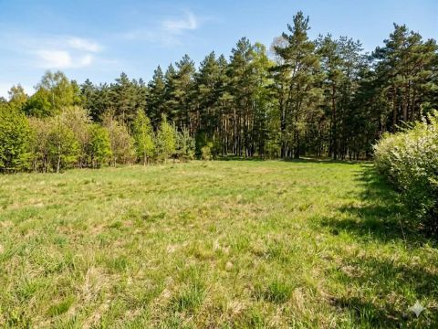 Sprzedaż Działka Romualda sulińskiego, Skierniewice